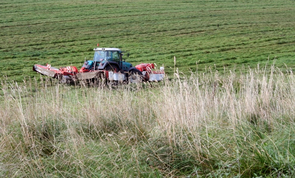Traktor beim Grasmähen