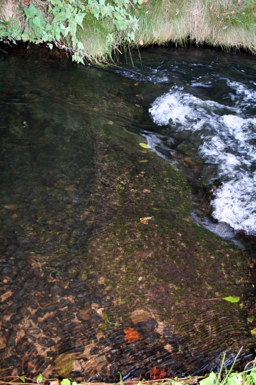 Steinstufe im Wasser