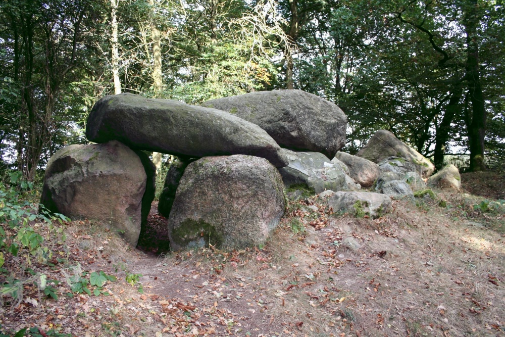 Großsteingrab - 1