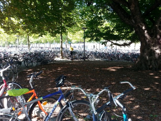 Gestern, heute, morgen - jeden Tag aufs neue ca. 4.000 Fahrräder