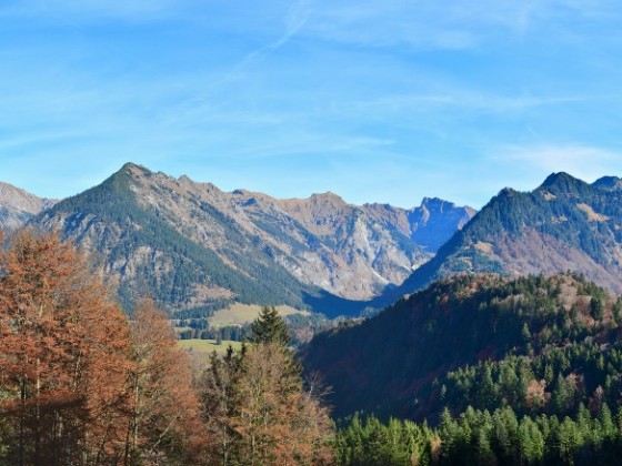 Blick aufs Nebelhorn ( mittig über der Baumgruppe links)