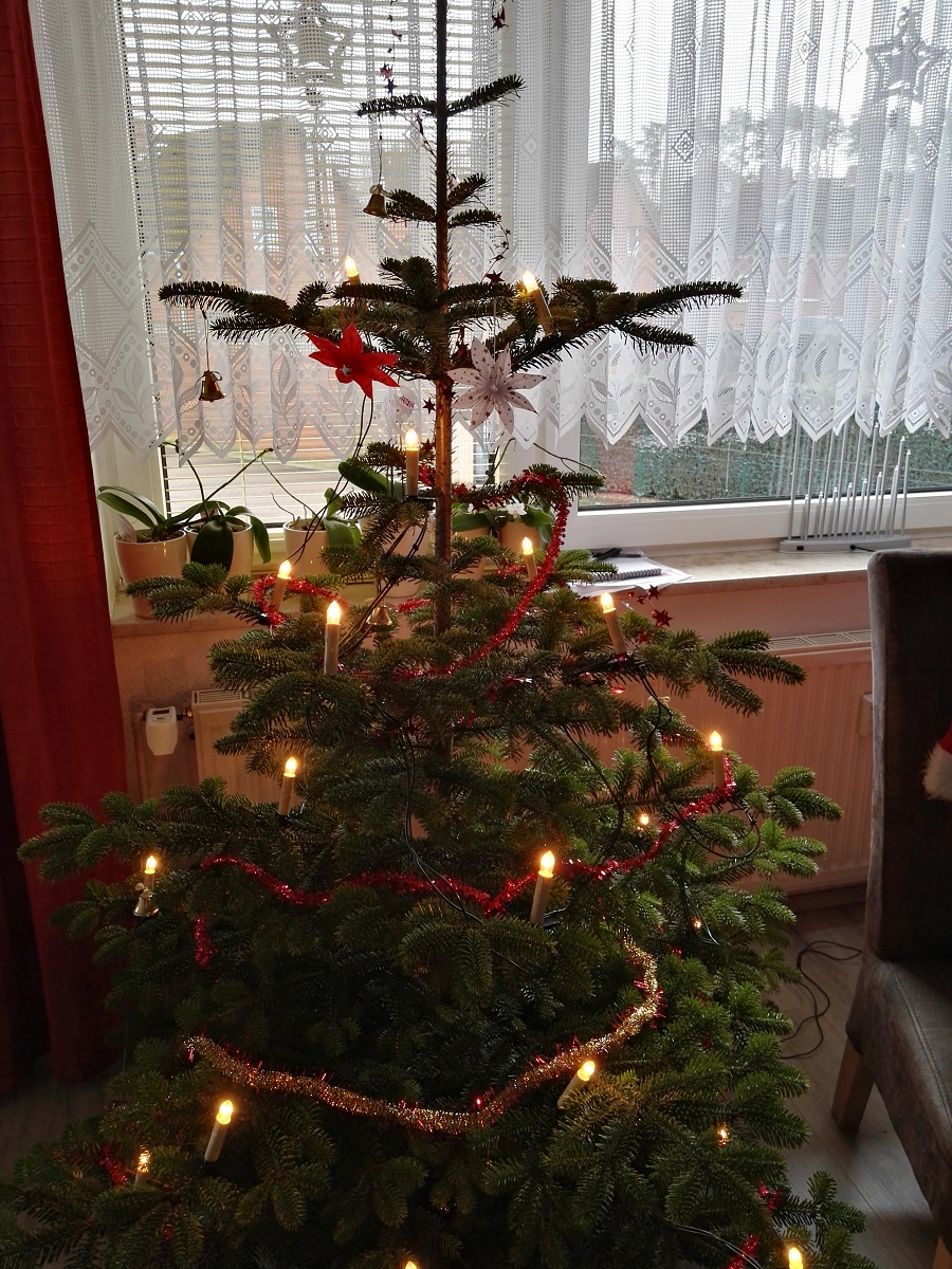 fast ausrangierter Weihnachtsbaum