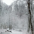 .....im Winter Wonderland