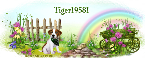 tiger19581-frh1-20204rjiv.png