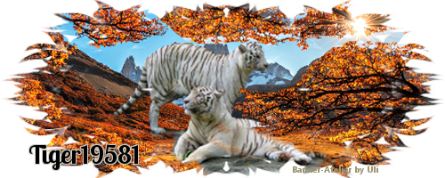 tiger19581-herb-2019v3kqg.png