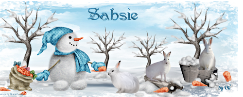 sabsie67-winter-2018xxoxu.png